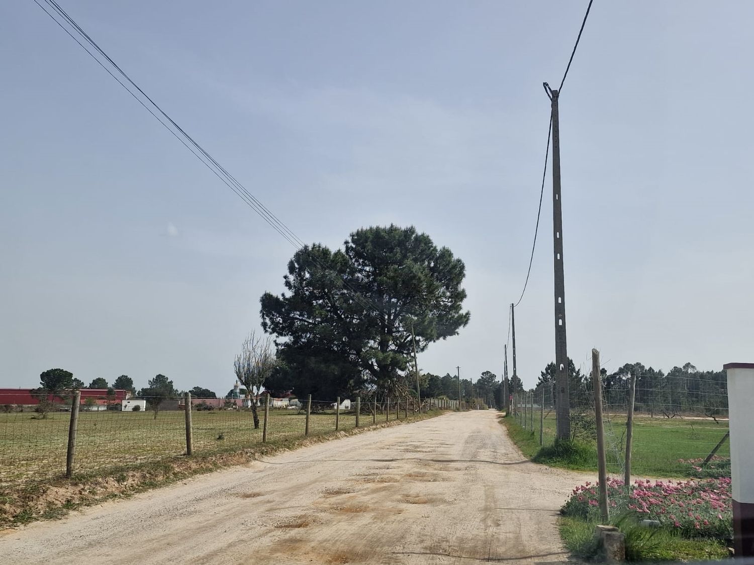 庄园出售在Poceirão e Marateca - 花园