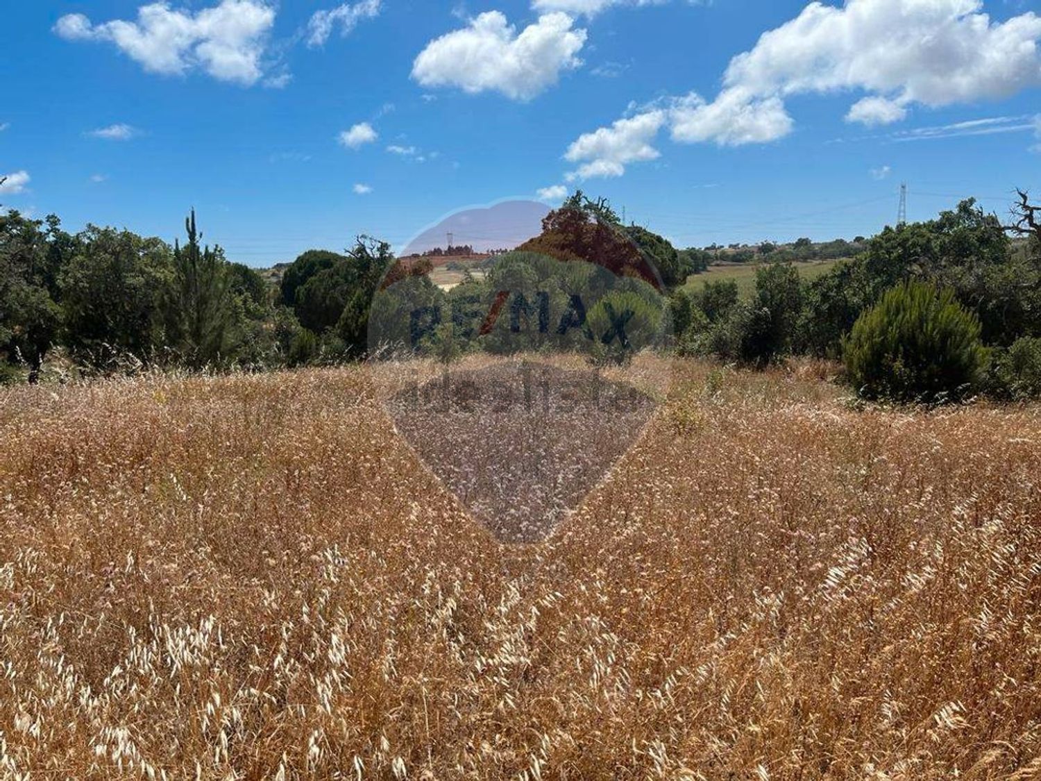 庄园出售在Abela - 视线
