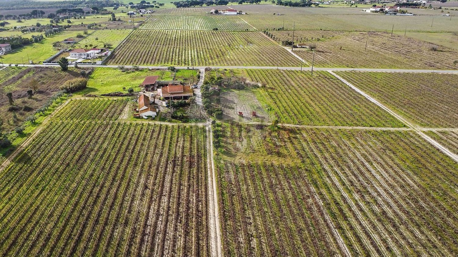 庄园出售在Poceirão e Marateca - 照片