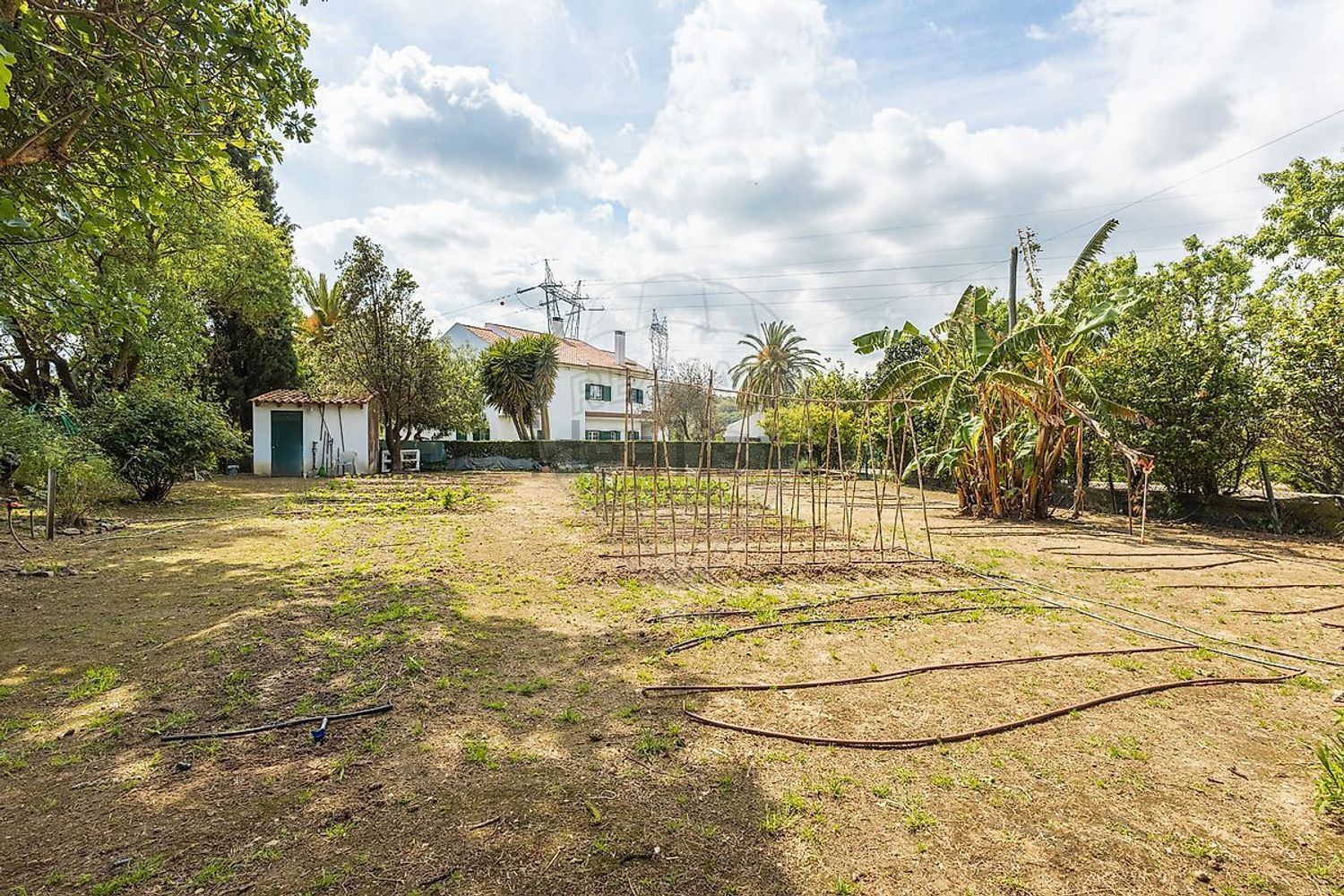 小楼房或独栋别墅出售Estr. da Serralheira de Baixo - 花园