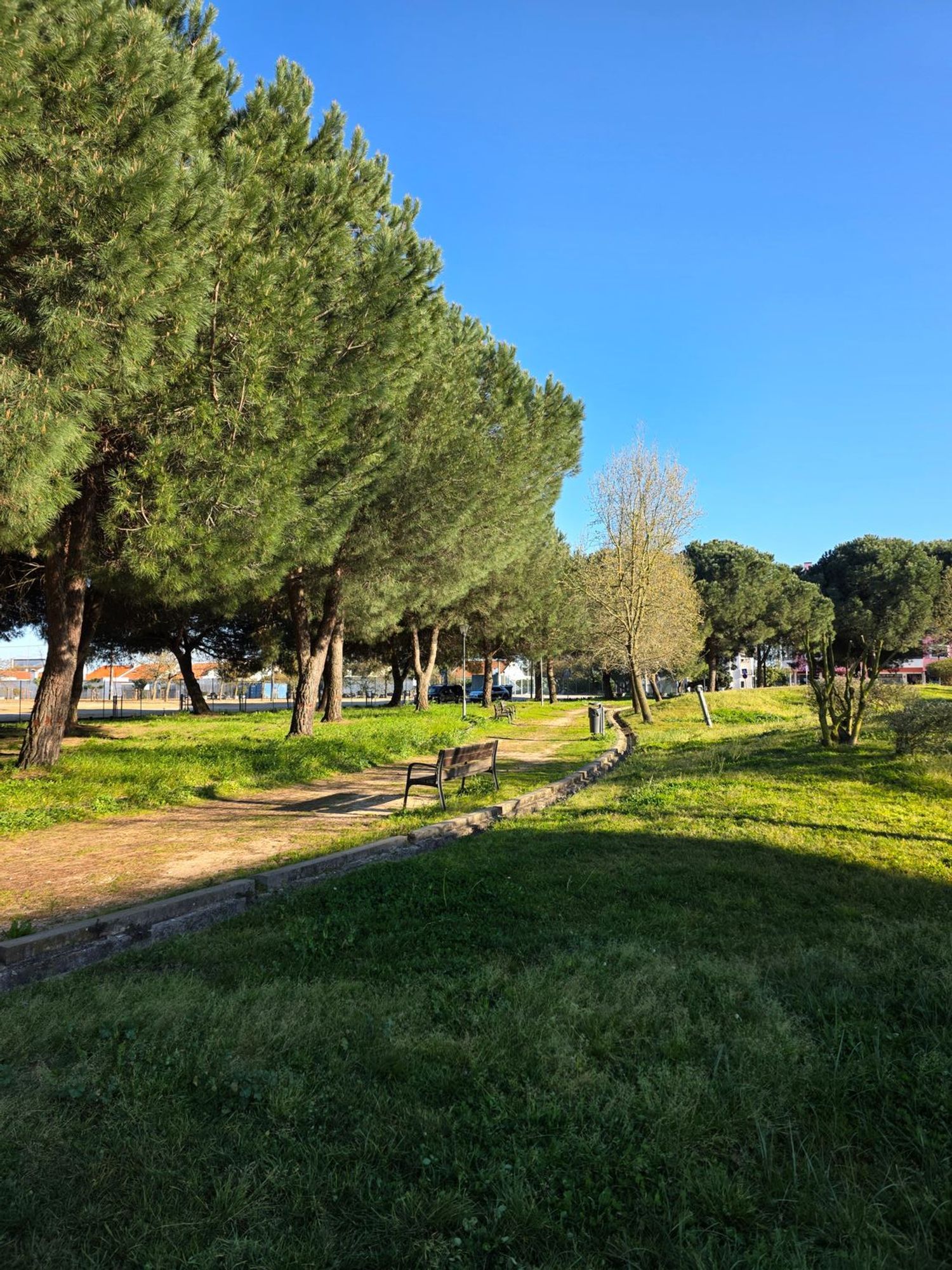 公寓 t2出售在Rua Bernardino Curado, 36 - 花园