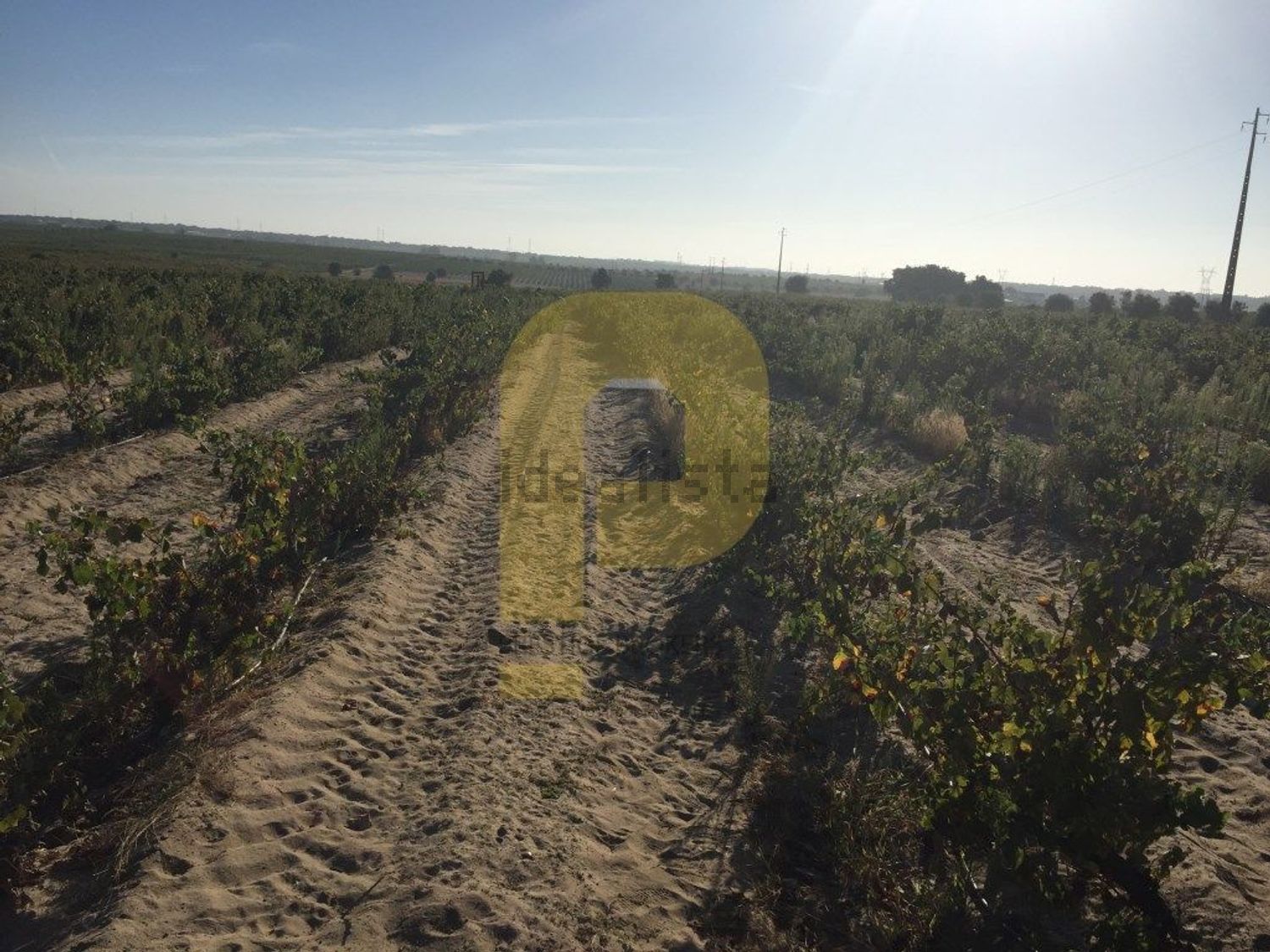 庄园出售在Poceirão e Marateca - 花园