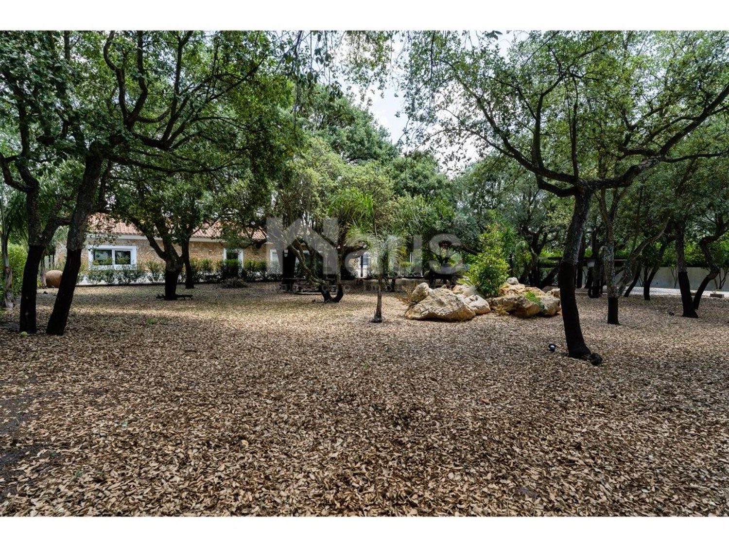 庄园出售在Centro - 花园