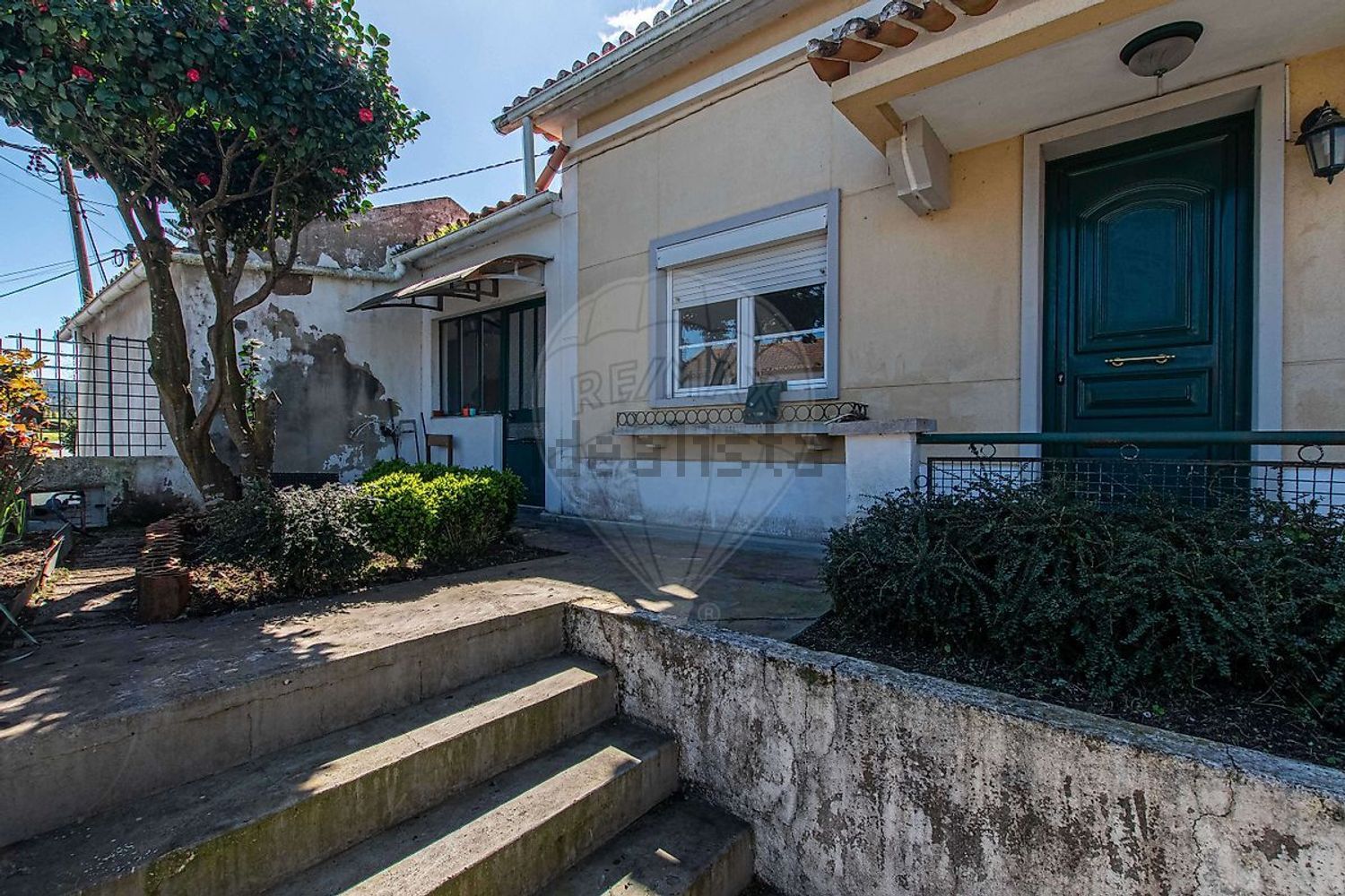 小楼房或独栋别墅出售N115-1 - 外立面