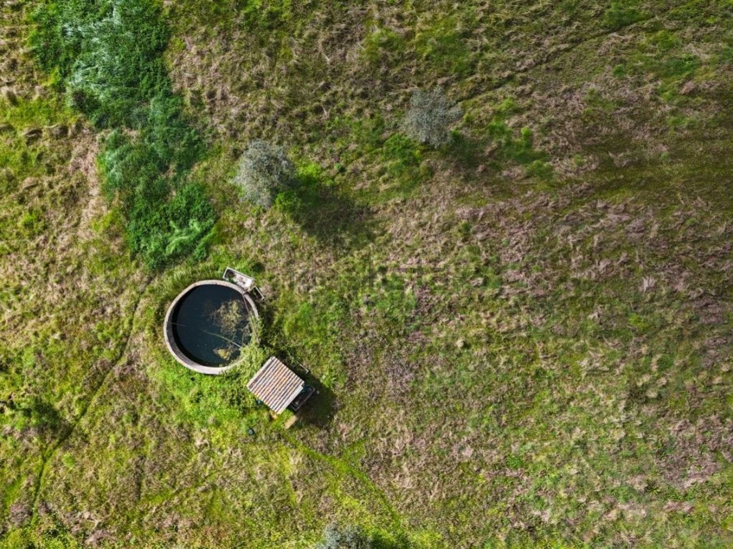 庄园出售在Rua José Dias Coelho, 9 - 照片