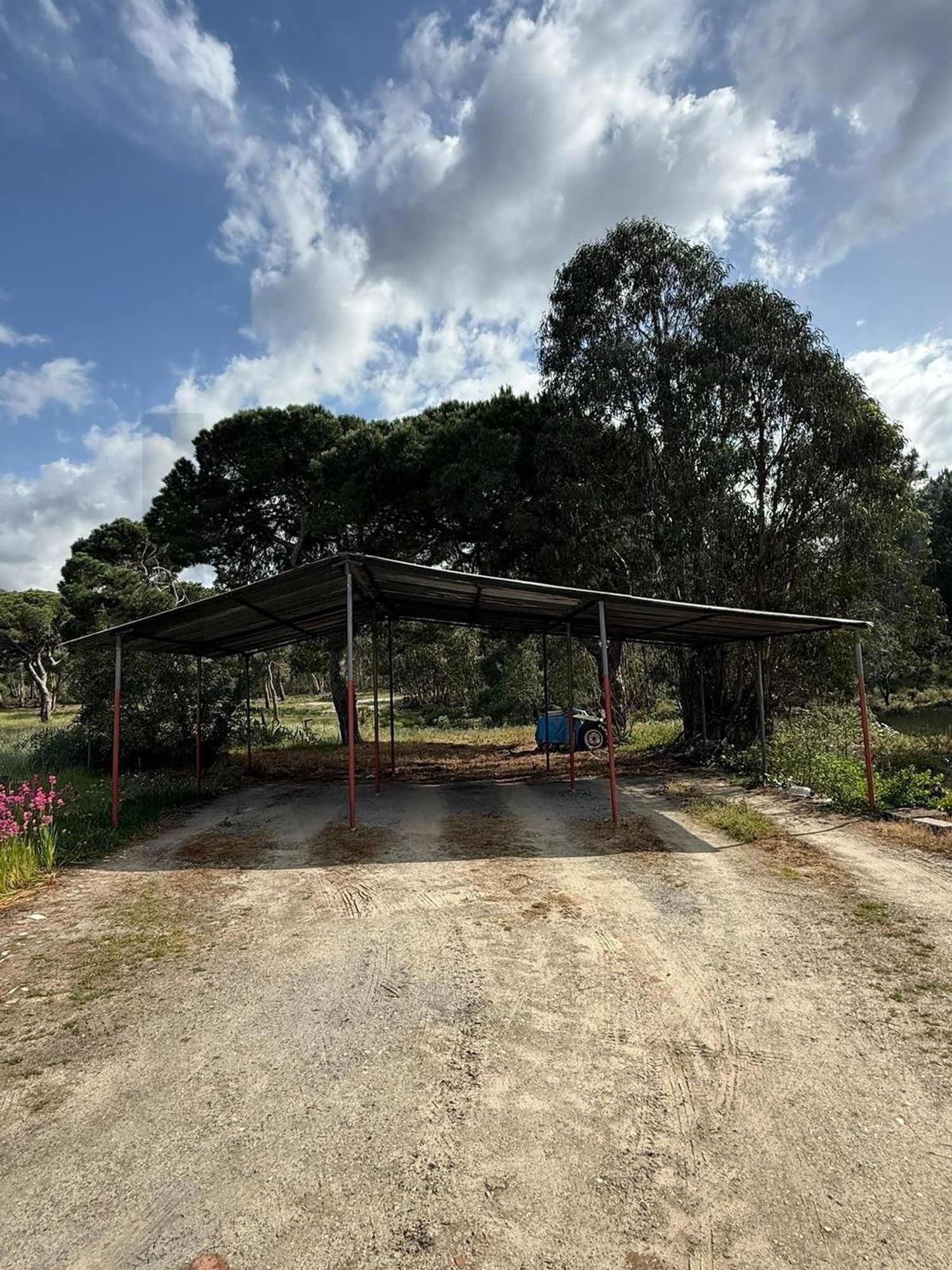 庄园出售在Rua Doutor Jacinto Nunes - 花园