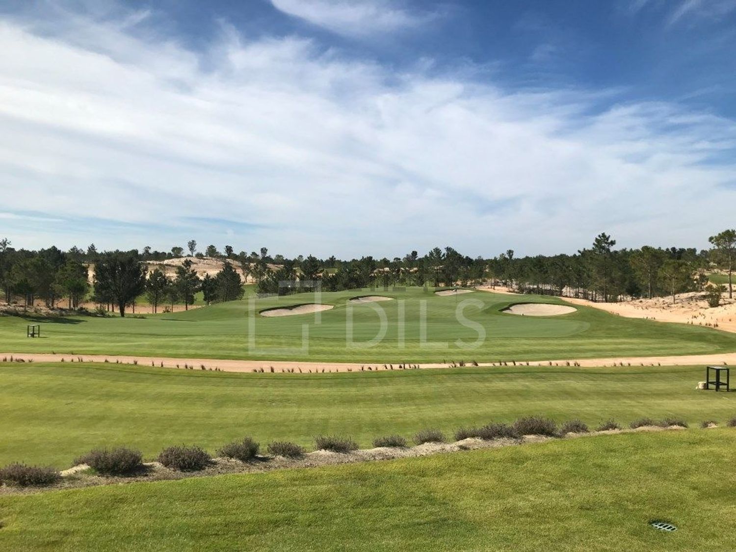 小楼房或独栋别墅出售在Rua da Eira - 花园