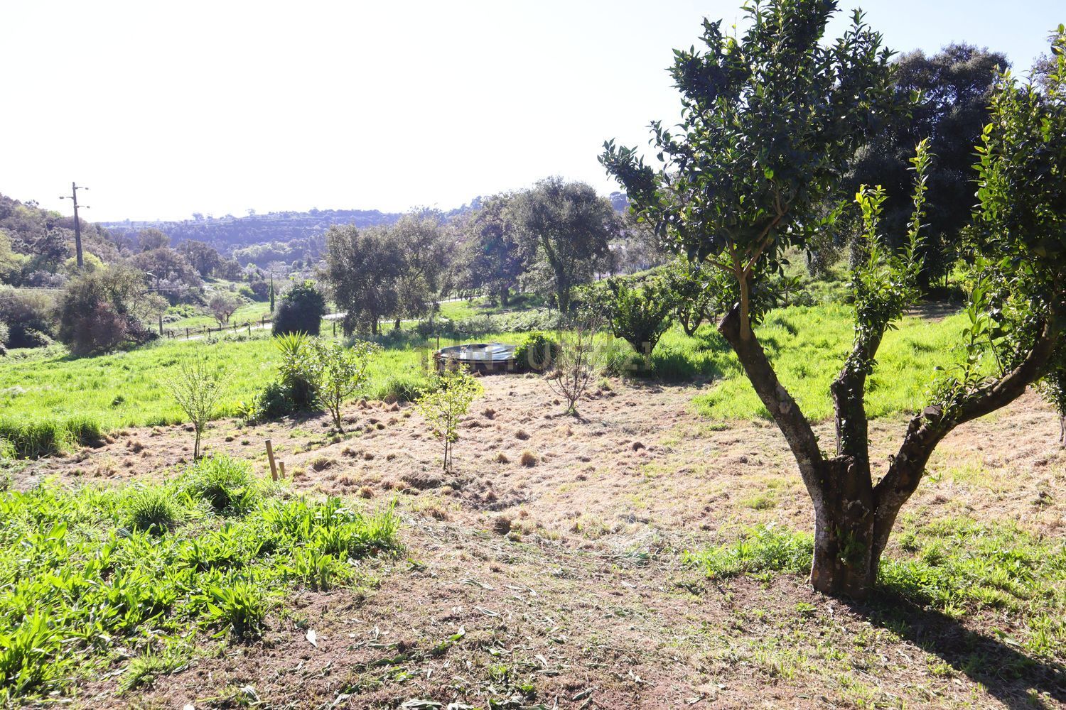 小楼房或独栋别墅出售在Estrada de Santo Estevão - 花园