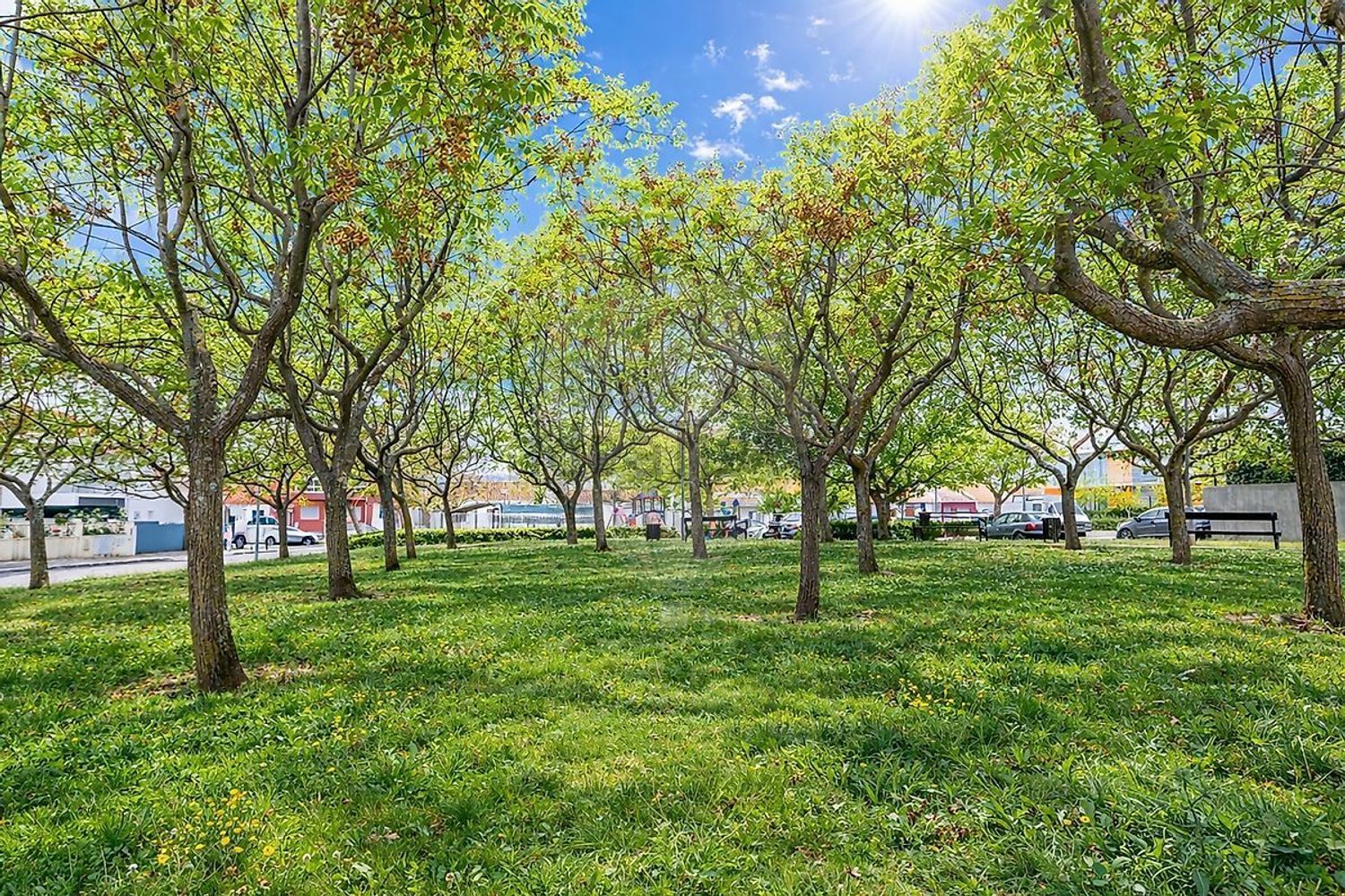 公寓 t2出售在Rua Luís Sttau Monteiro - 花园