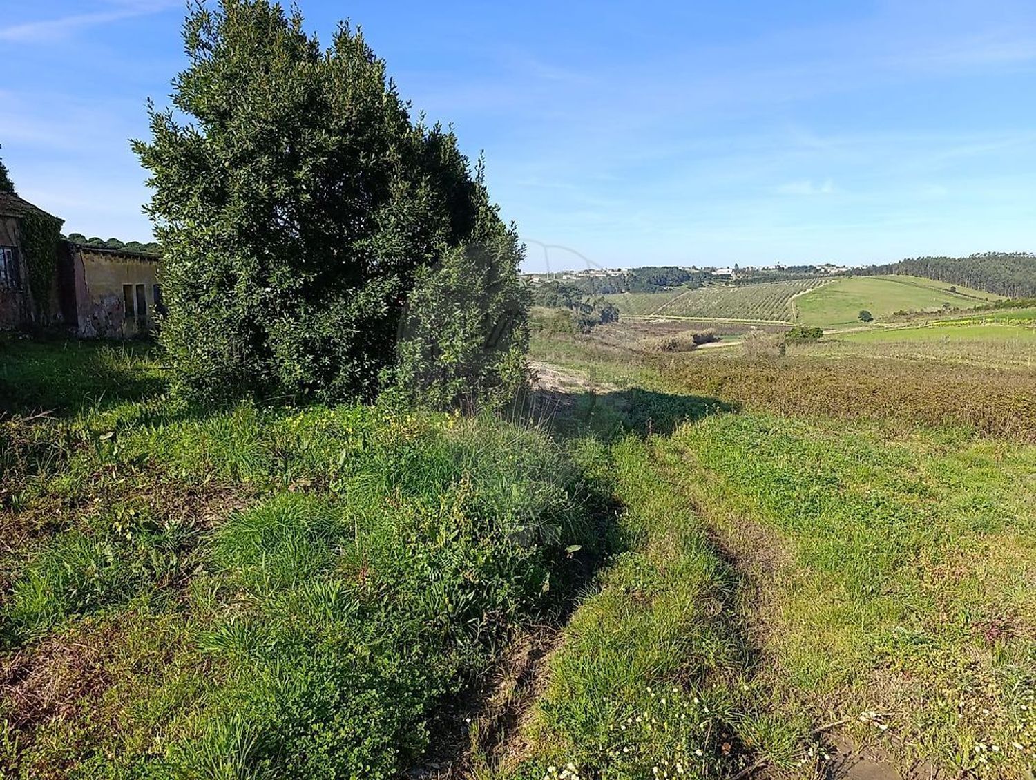 小楼房或独栋别墅出售在Rua Almeida - 花园