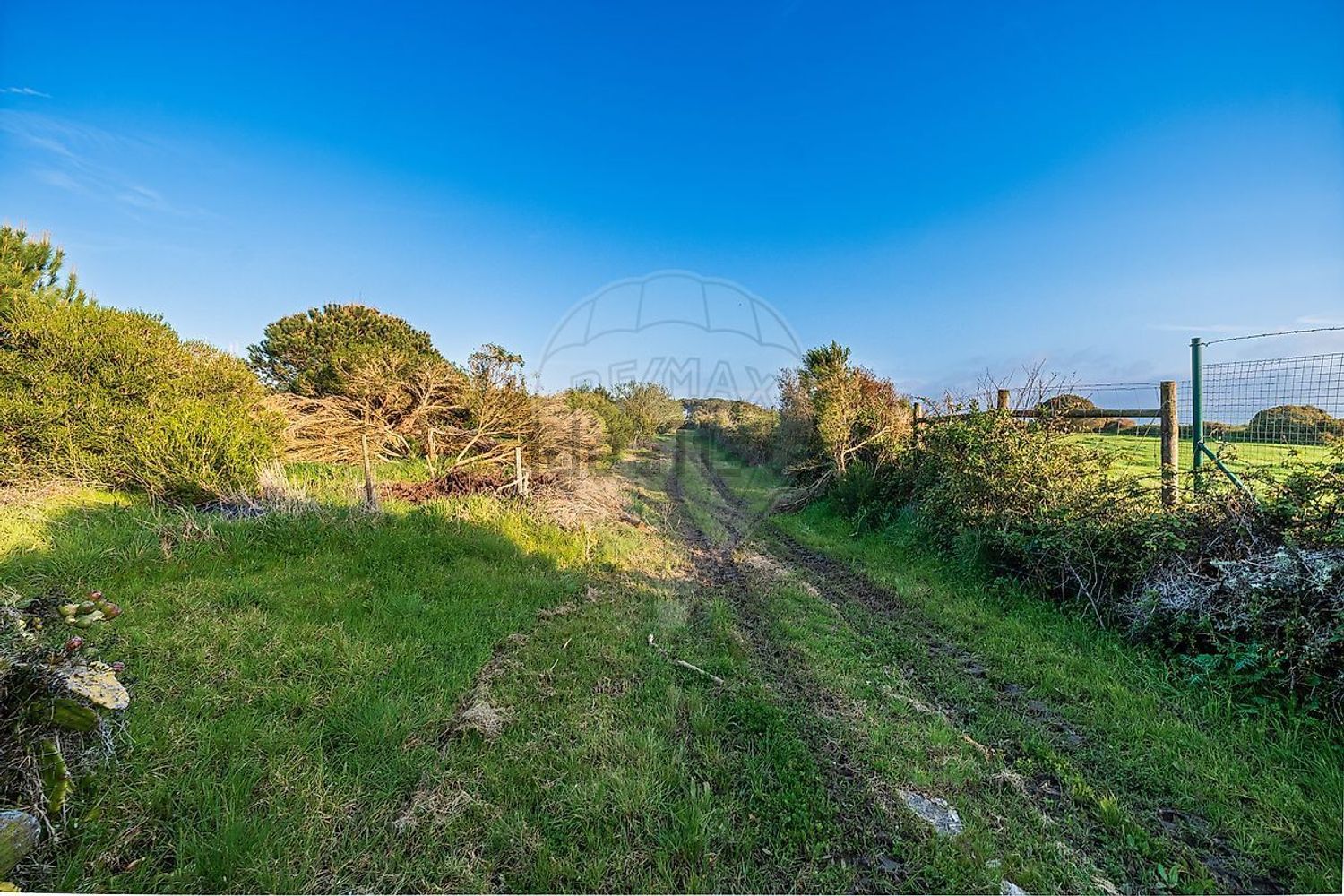 小楼房或独栋别墅出售在Rua das Macieiras - 花园