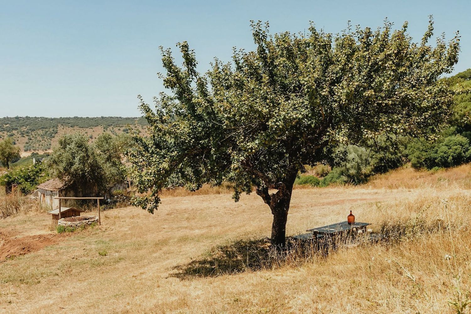 庄园出售在Estrada do Vale dos Barris - 花园