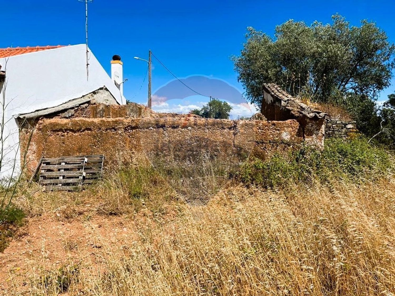 庄园出售在Abela - 视线