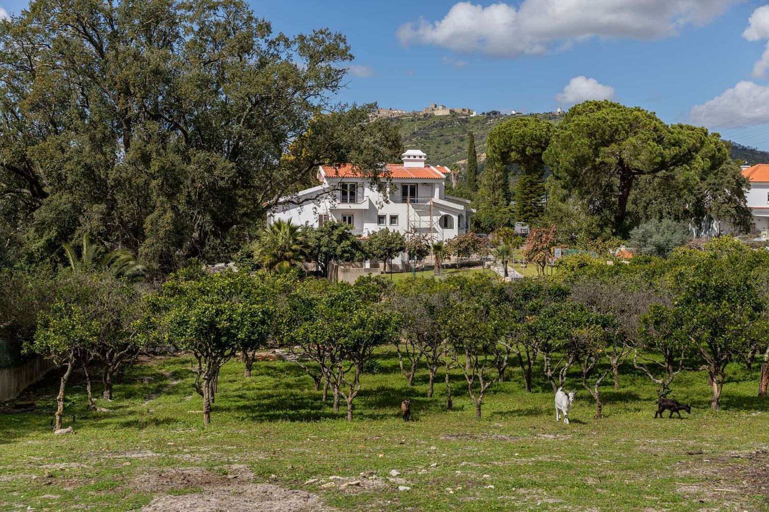 出租公寓 t5Urbanização Quinta Tomé Dias, 2 - 花园