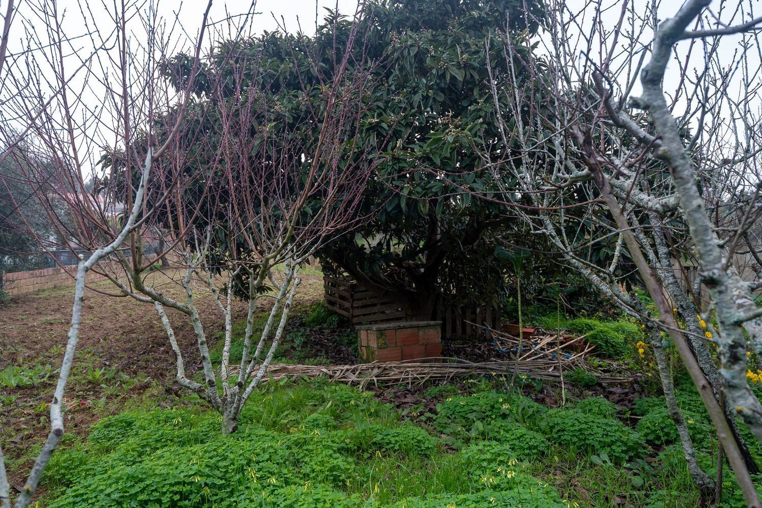 小楼房或独栋别墅出售在Rua Carreira da Corsa, 28 - 花园