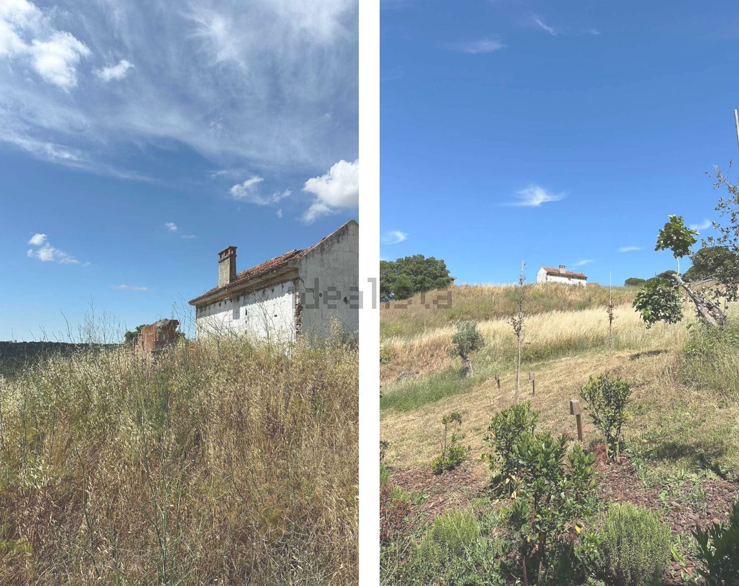 庄园出售在Estrada do Vale dos Barris - 视线