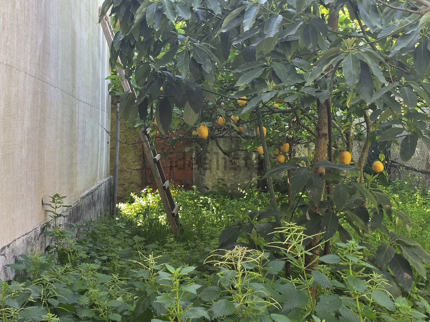 出租小楼房在A-da-Beja - Moinho do Guizo - 花园