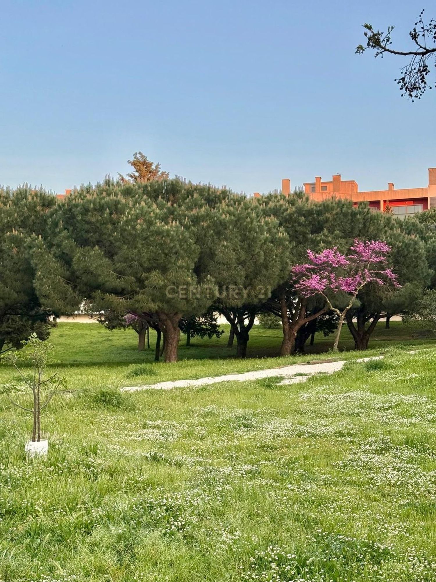 出租公寓 t3在Praceta Francisco Pulido Valente, 10 - 花园