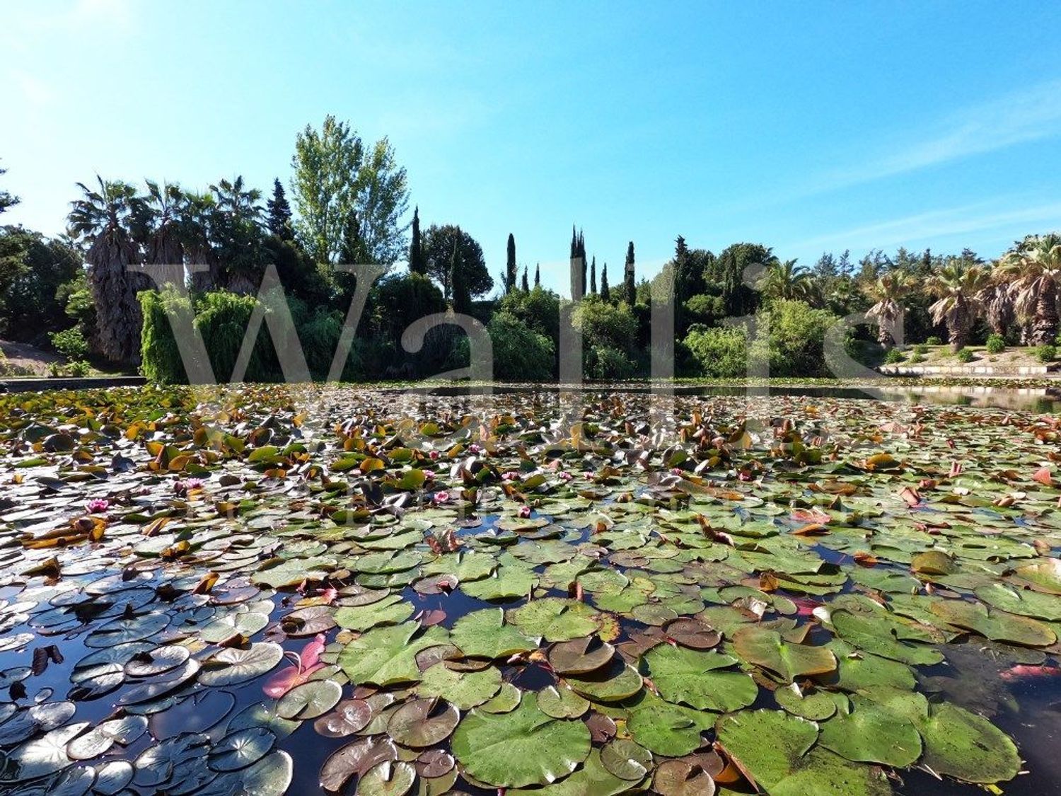 庄园出售在Almada - 花园