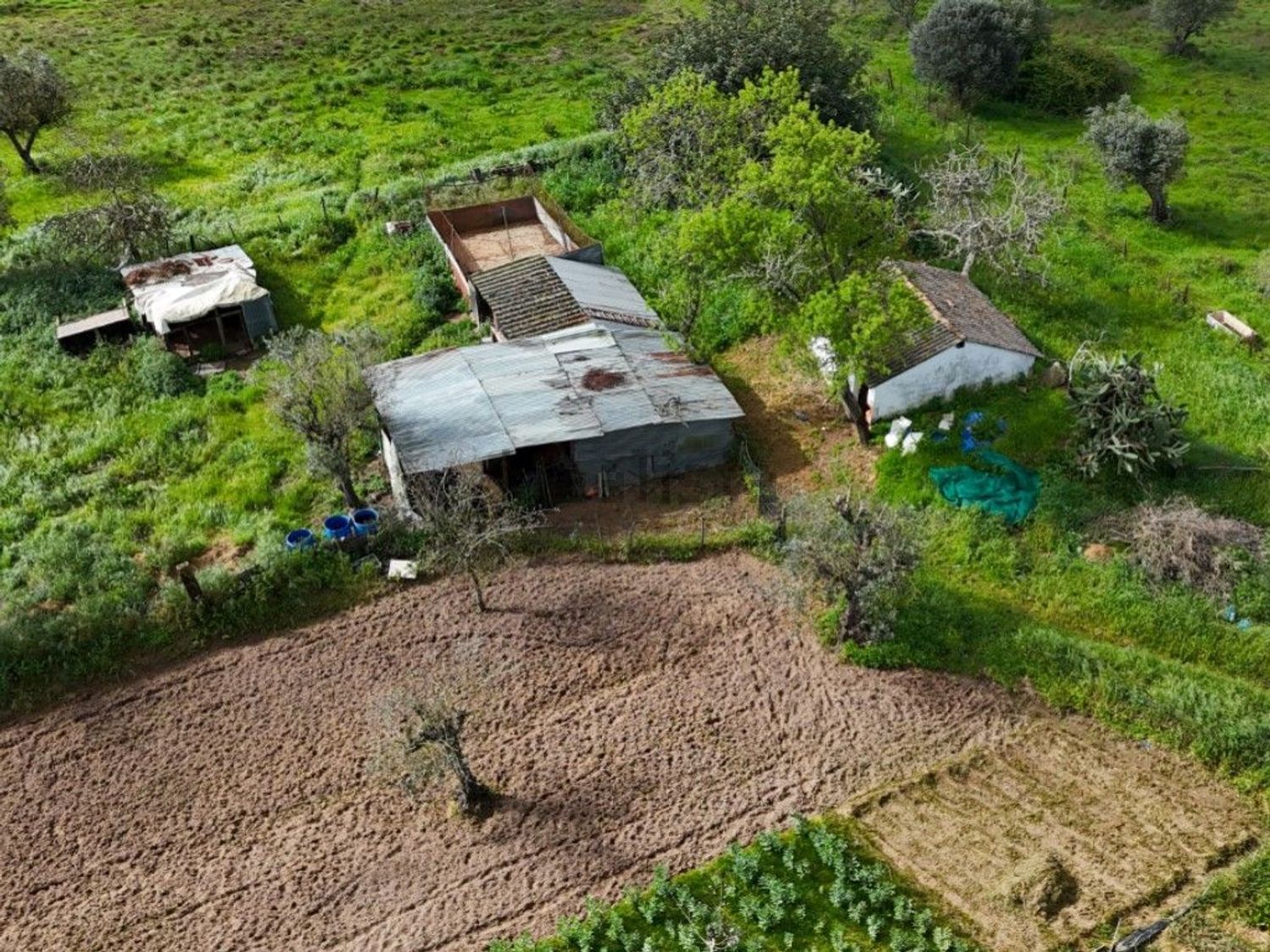 庄园出售在Rua José Dias Coelho, 9 - 花园