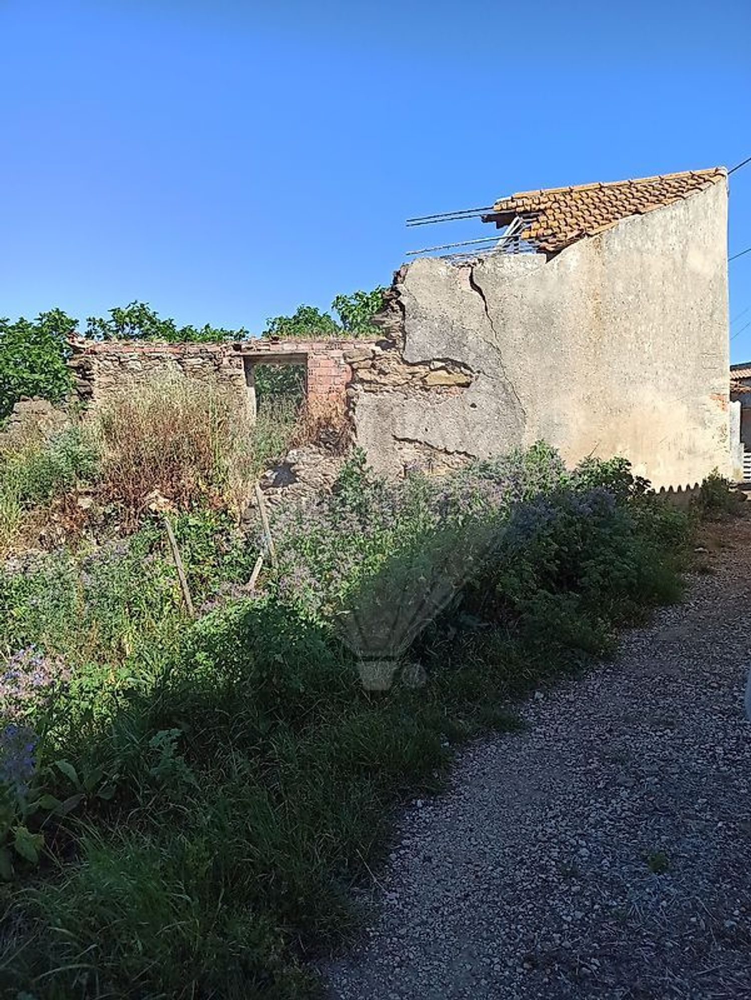 小楼房或独栋别墅出售在Encarnação - 花园