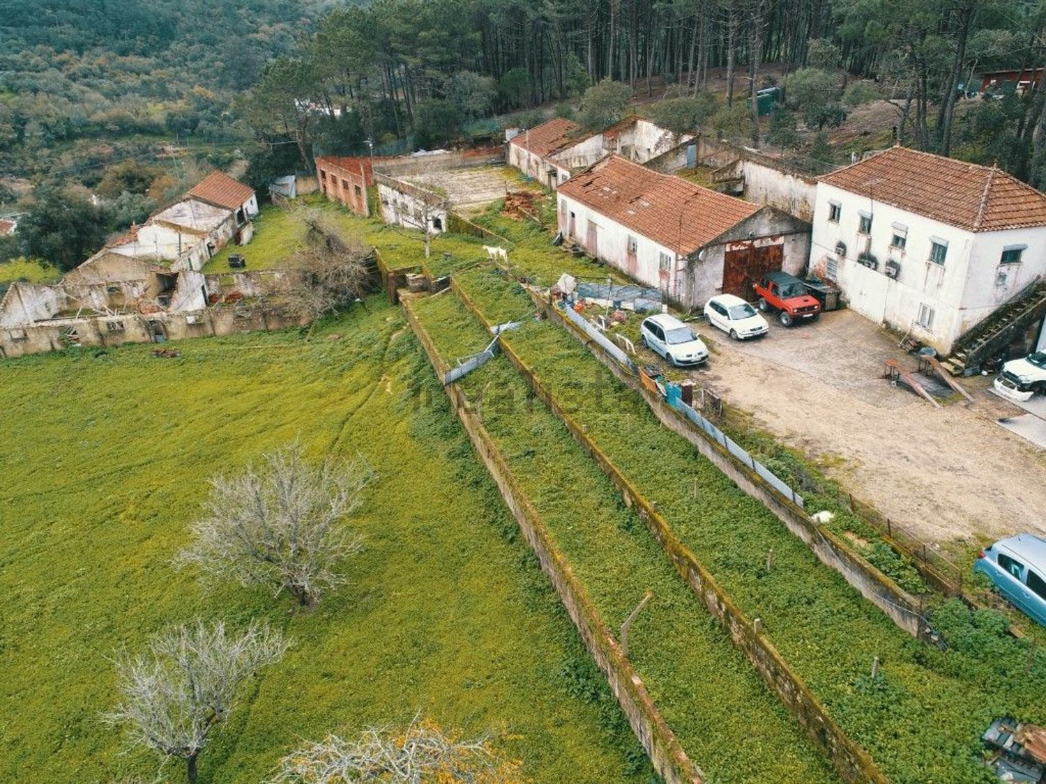 庄园出售在Lousa - 照片