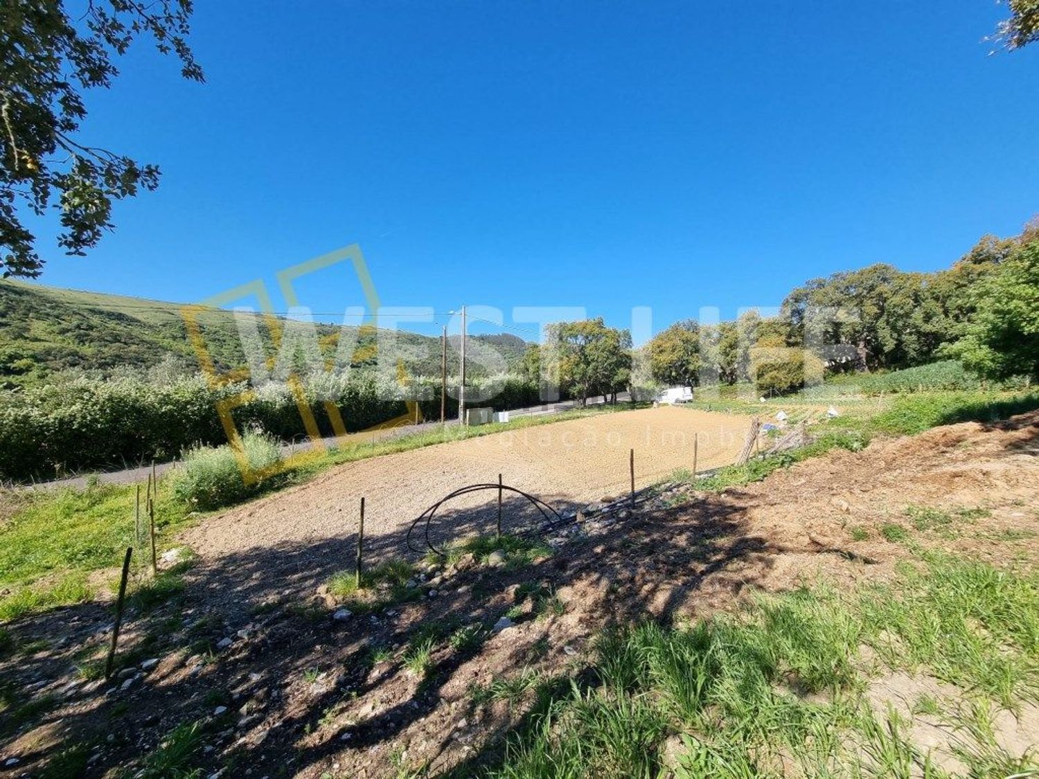 小楼房或独栋别墅出售在Avenida Catarina Eufémia - 花园