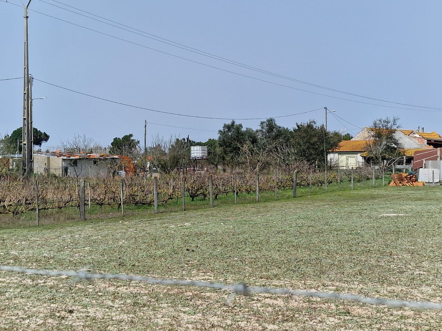 庄园出售在Poceirão e Marateca - 花园