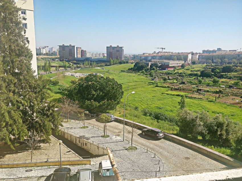 公寓 t3出售在Rua Adães Bermudes