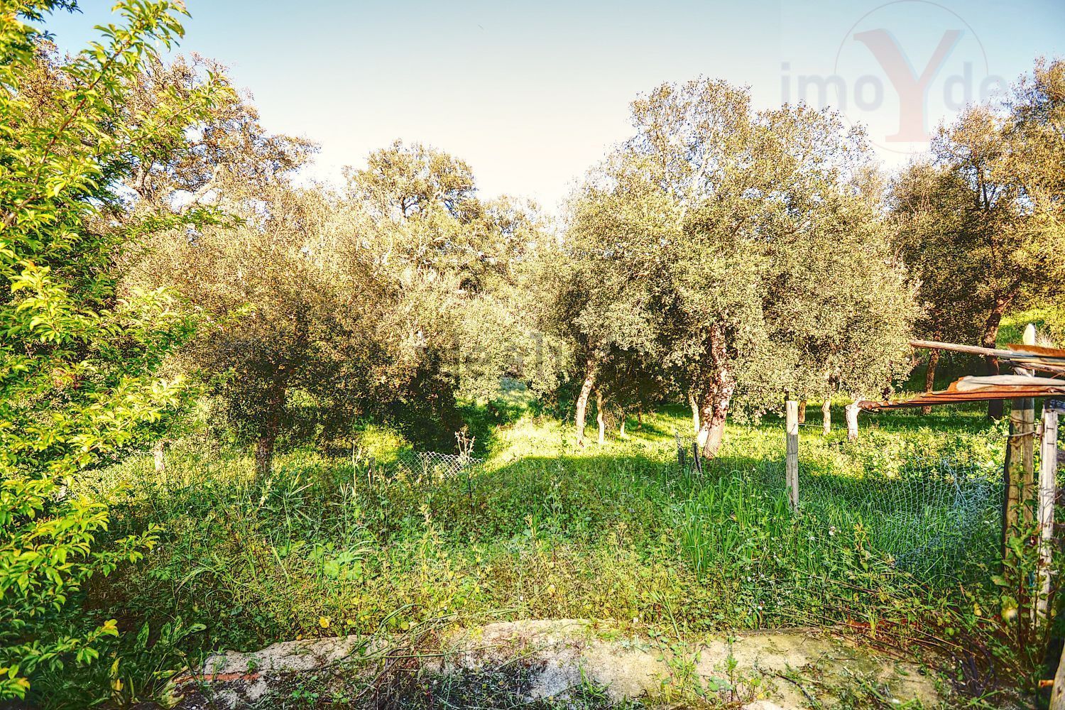 庄园出售在Melides - 花园