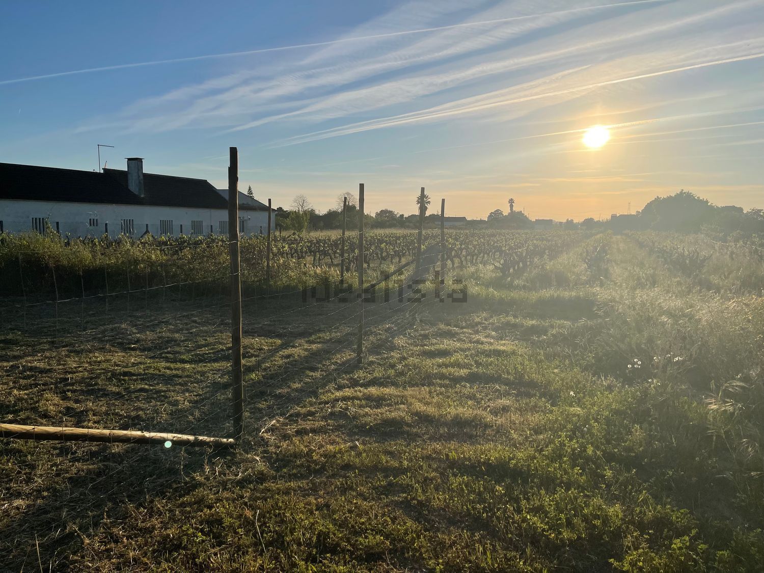 庄园出售在Estrada Lagameças, 1 - 花园