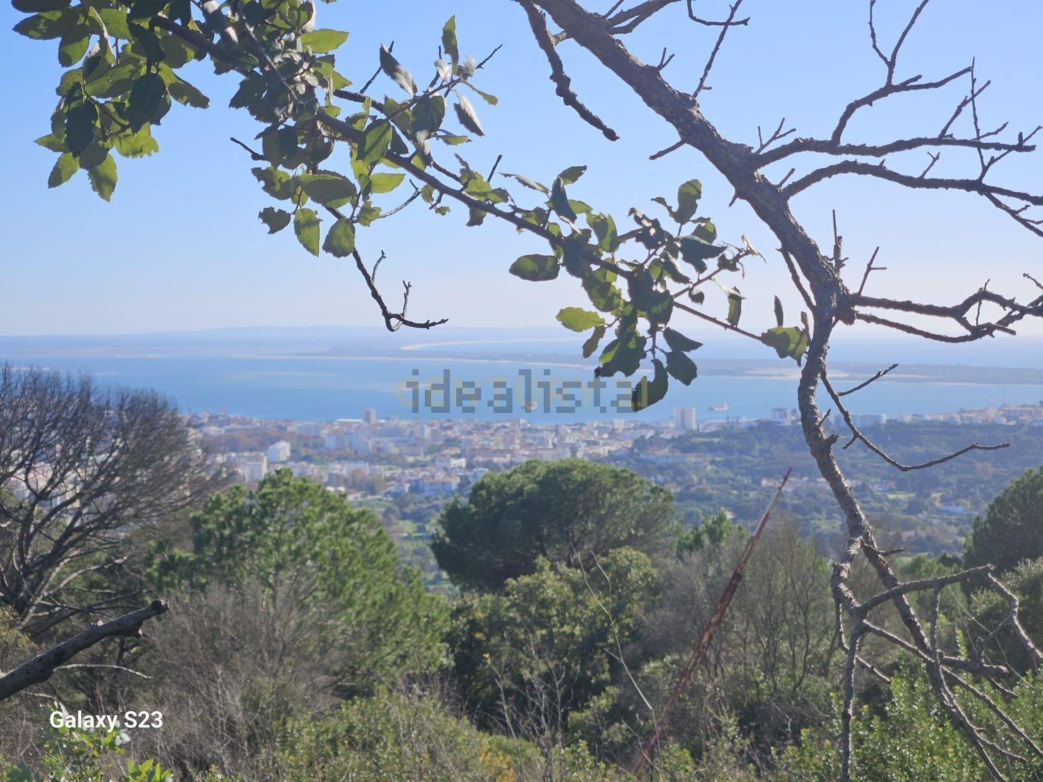 庄园出售Cm1052 s/n - 视线