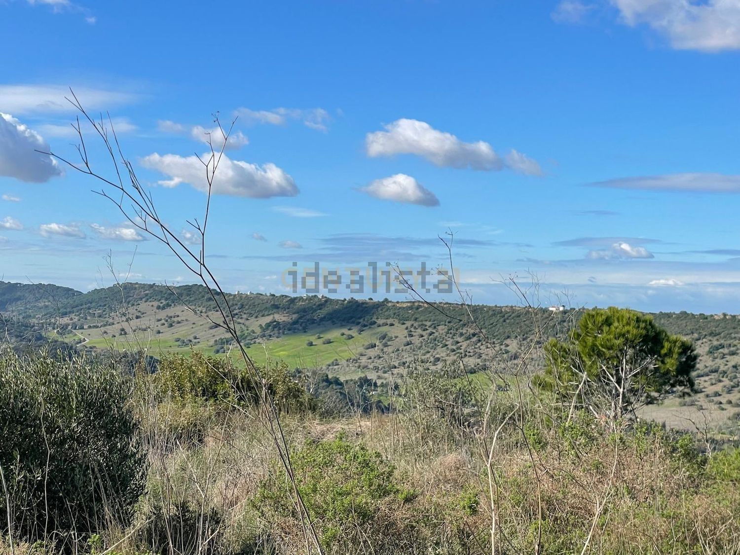 庄园出售Cm1052 s/n - 视线