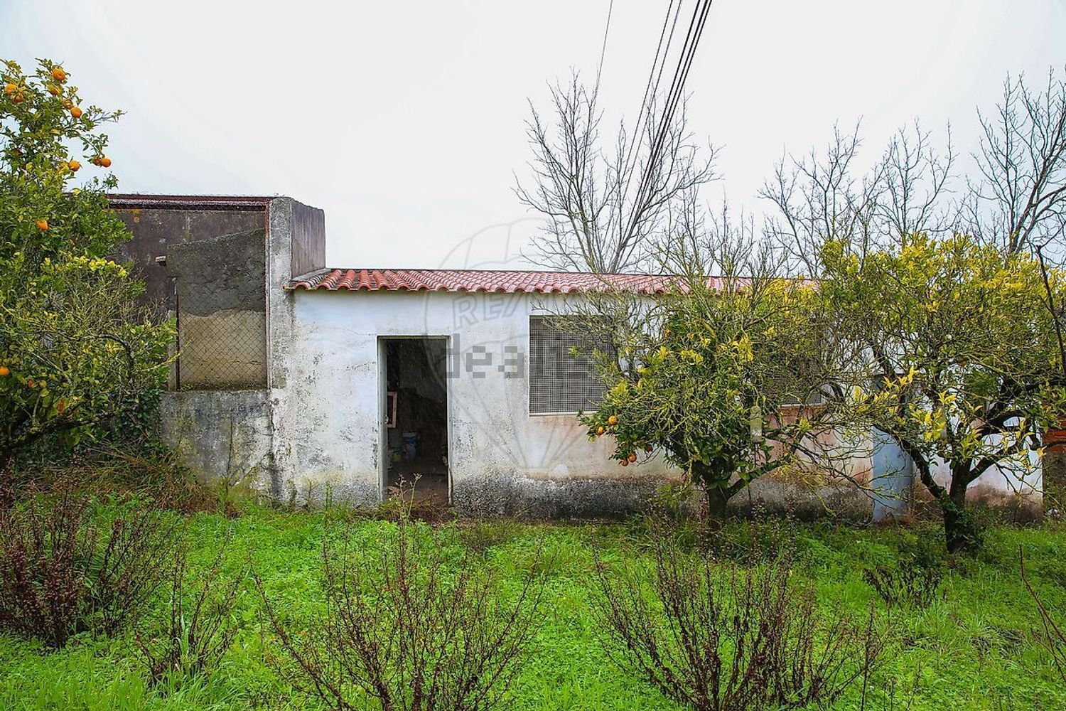 小楼房或独栋别墅出售Azinhaga Areosa - 外立面