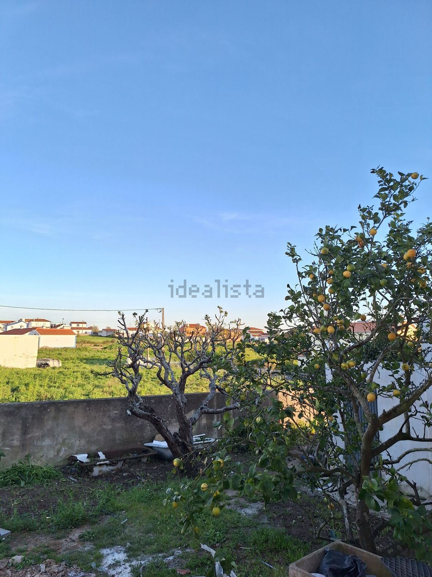 出租小楼房或独栋别墅在Estrada Principal, 53 - 花园