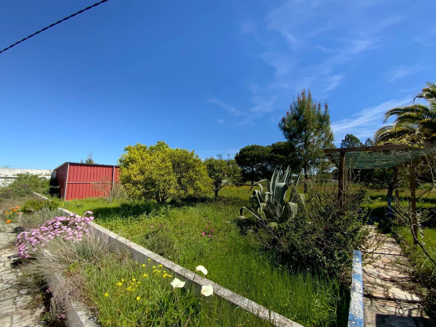 小楼房或独栋别墅出售Grandola - 花园