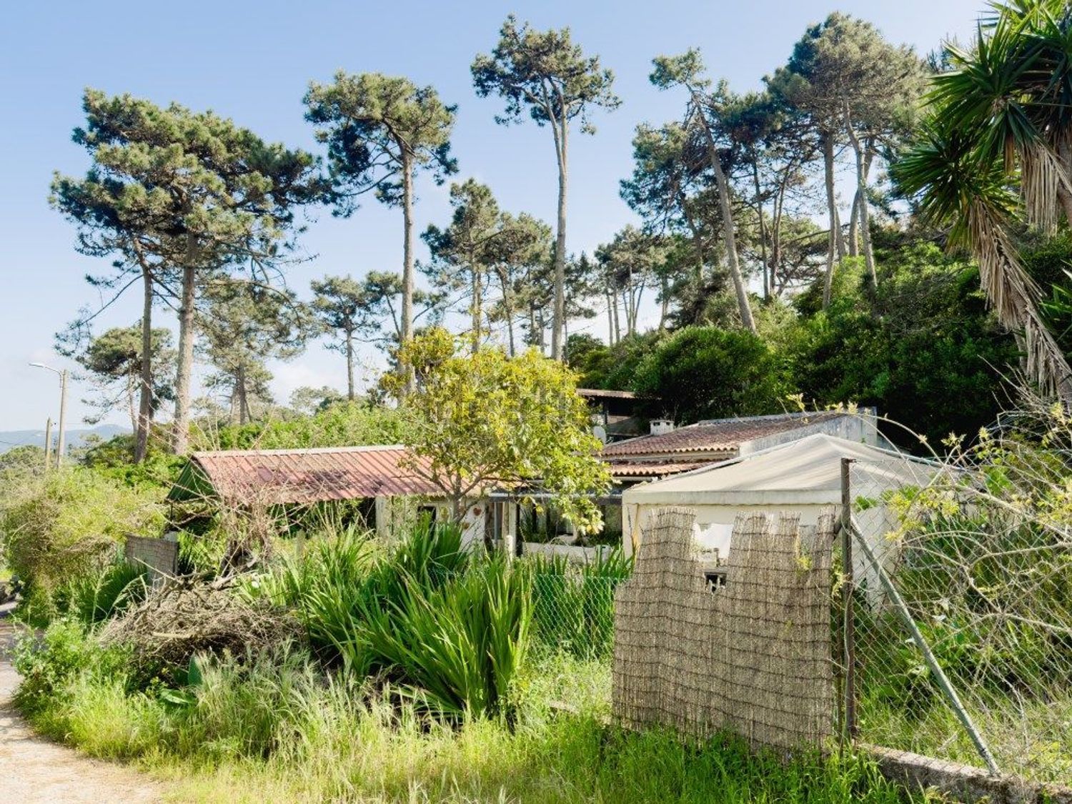 小楼房或独栋别墅出售在Rua do Cabeço do Barro - 花园