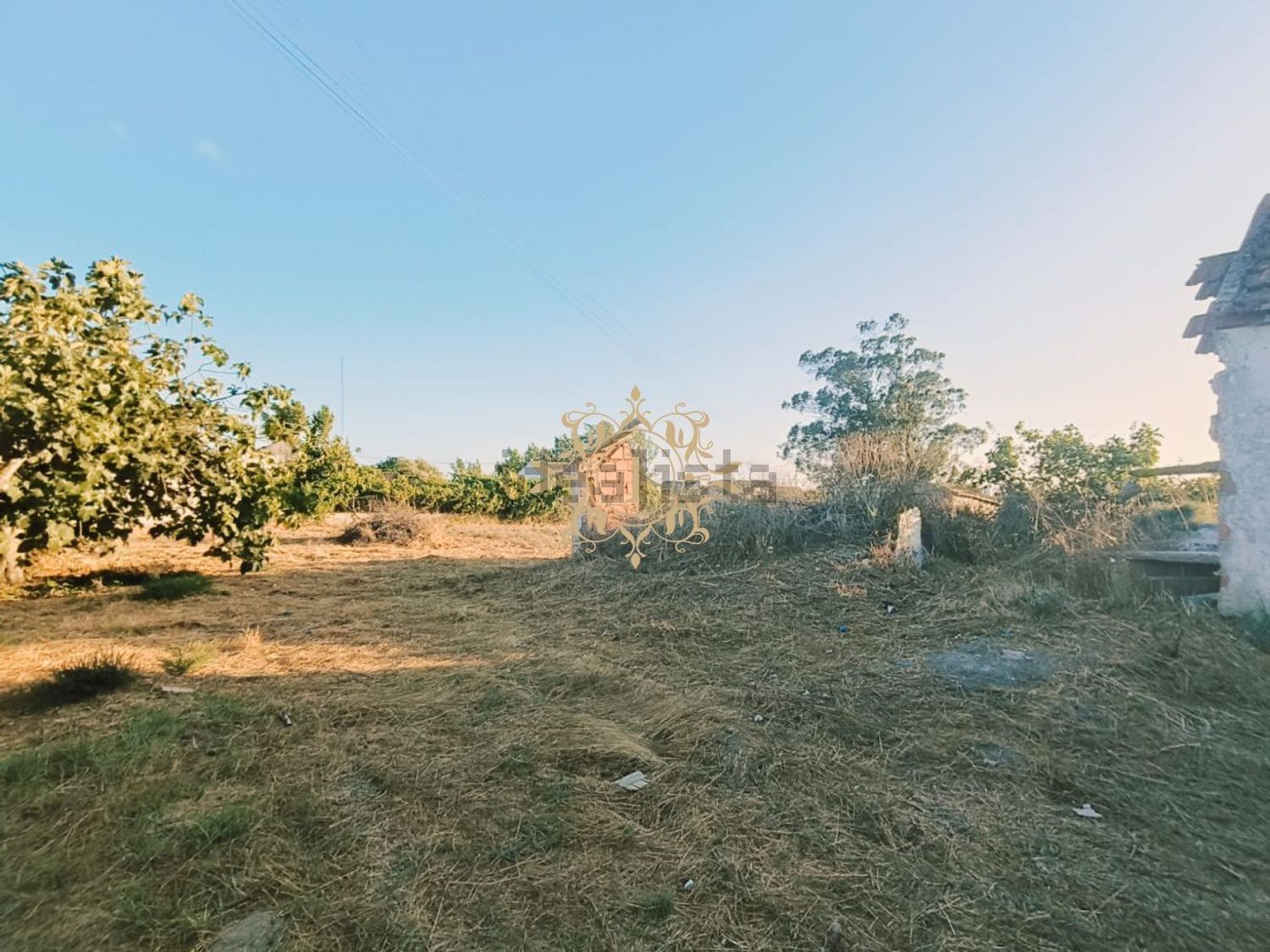 小楼房或独栋别墅出售在Poceirão e Marateca - 花园