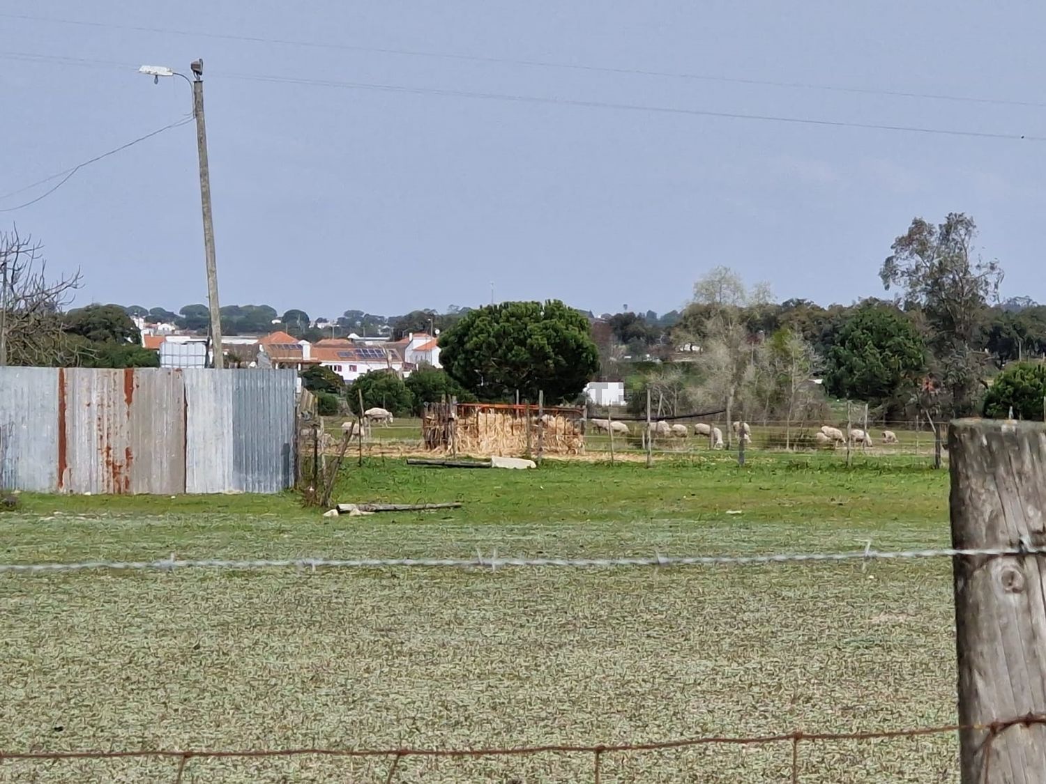 庄园出售在Poceirão e Marateca - 花园