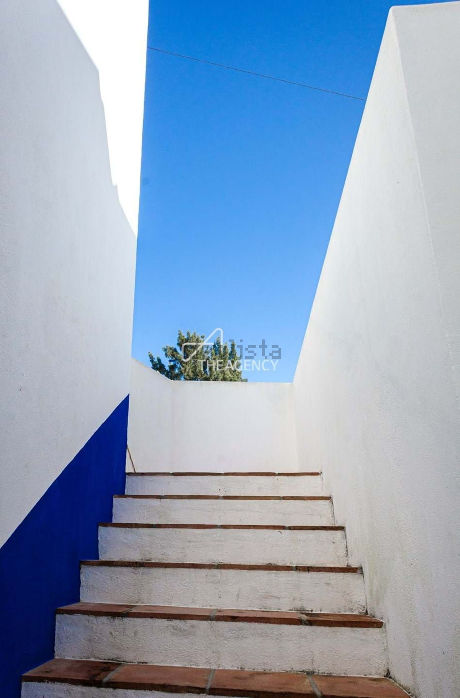 双拼别墅出售在Rua do Paço - 详情