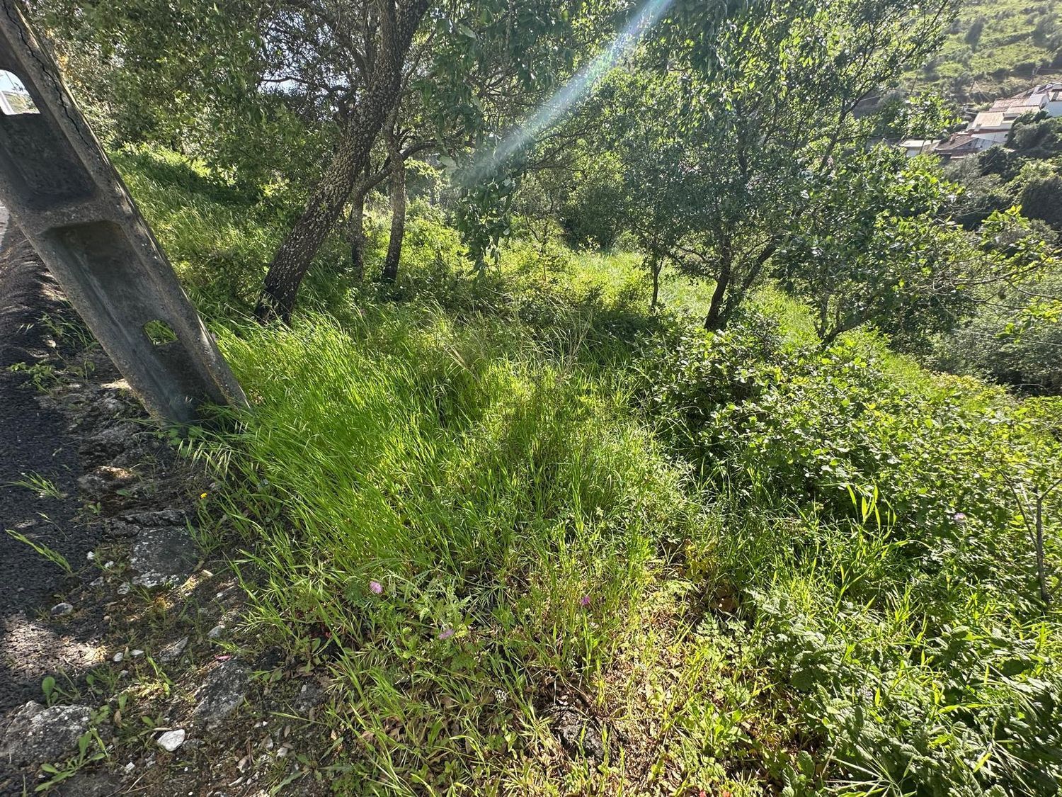 小楼房或独栋别墅出售Lousa, Loures s/n - 视线