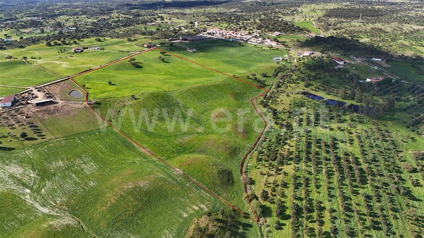 庄园出售在Abela