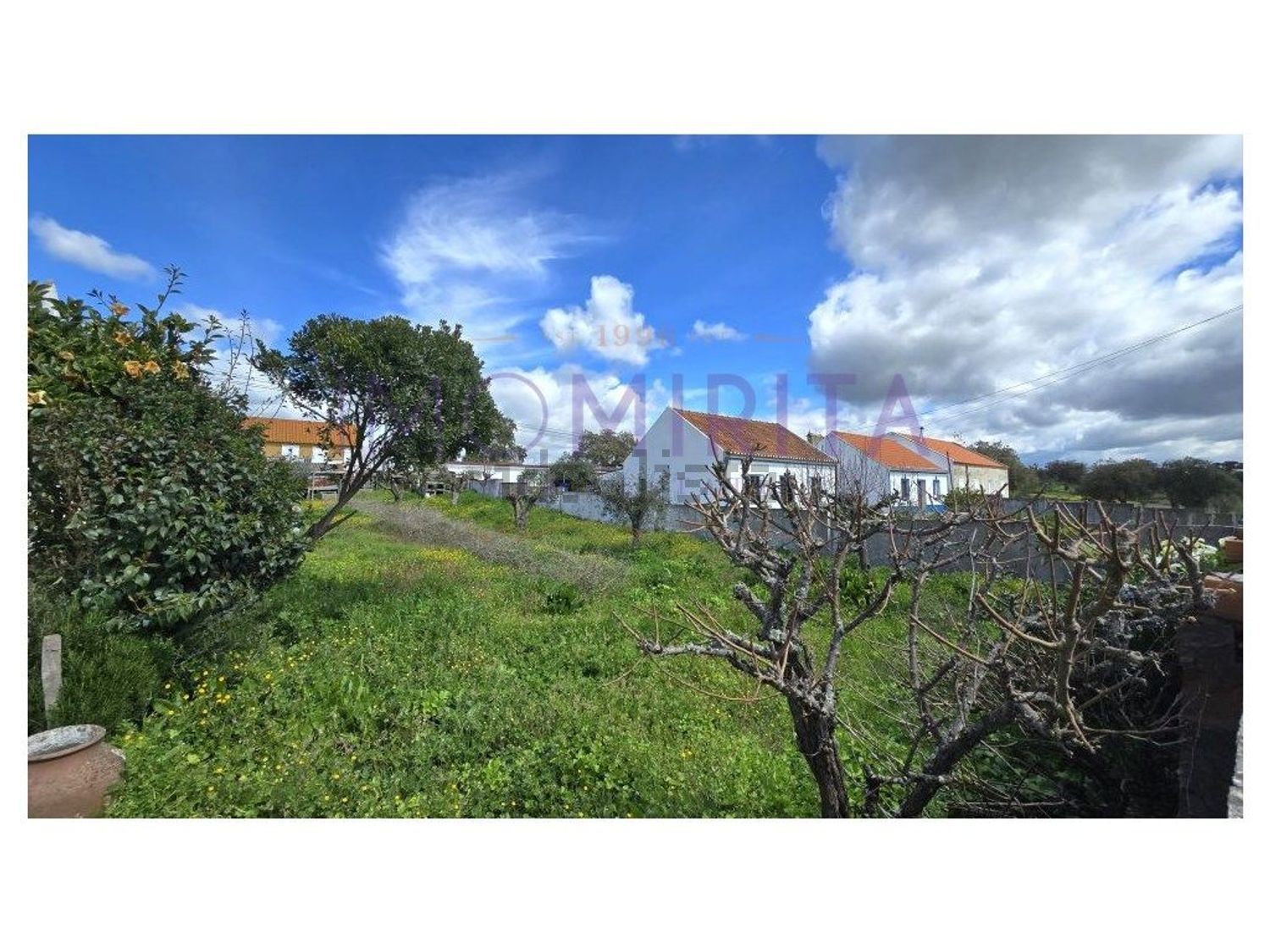 小楼房或独栋别墅出售在Rua do Chafariz - 花园