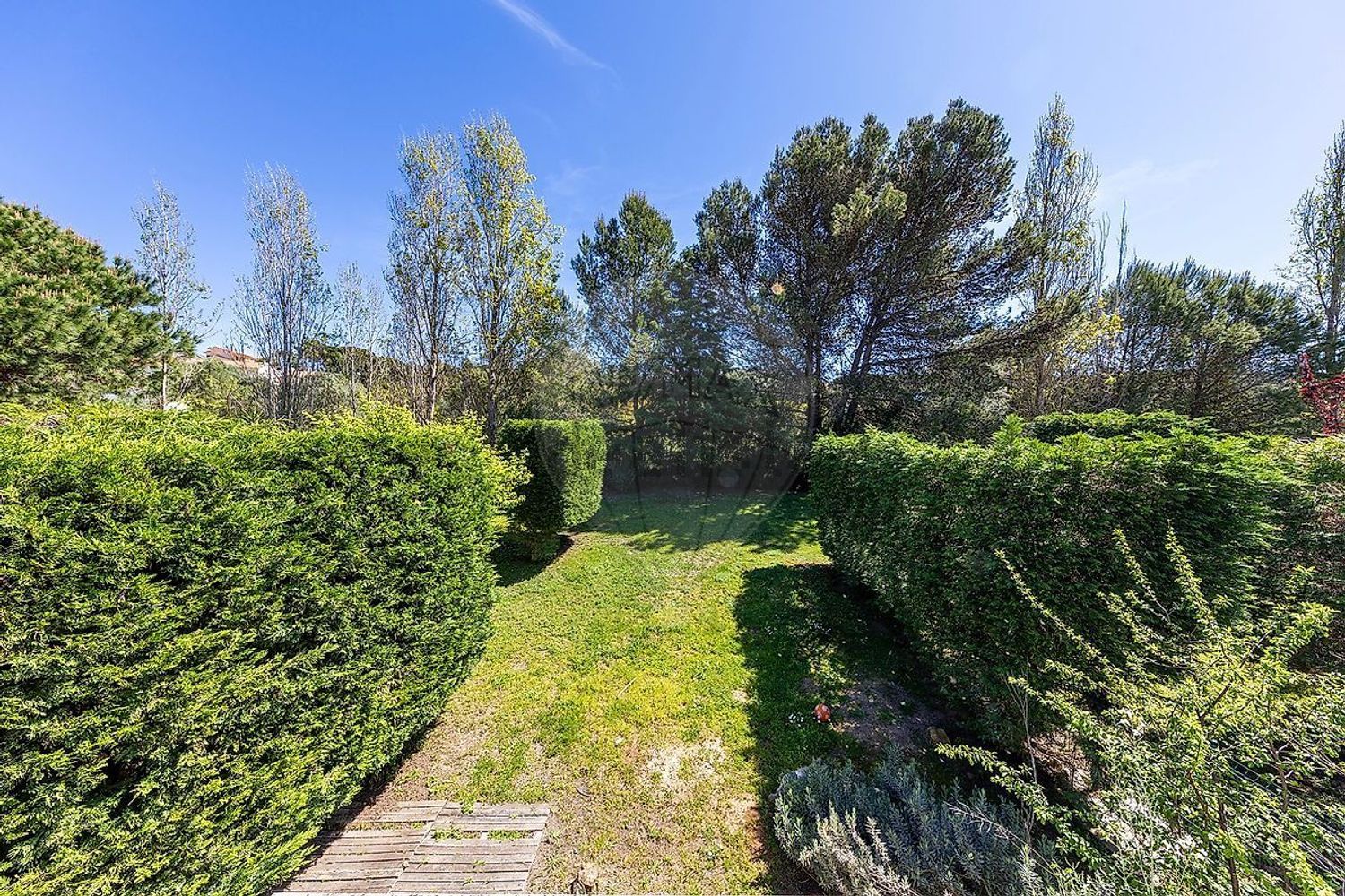 小楼房或独栋别墅出售在Rua dos Girassóis - 花园