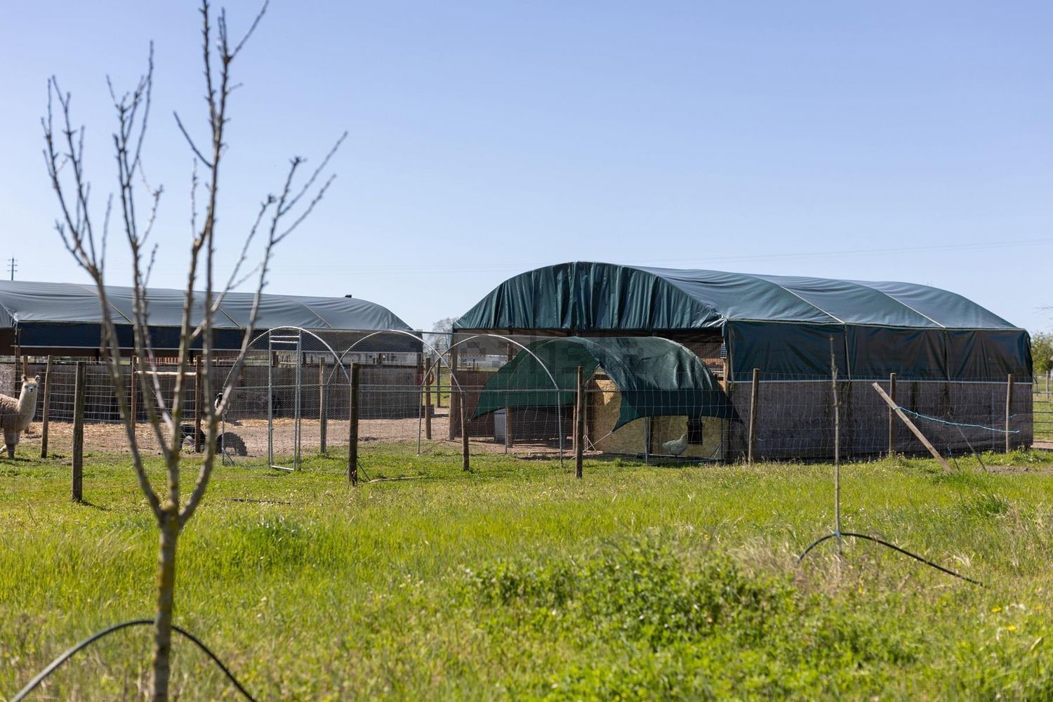 农庄出售在Estrada Vale Porrim s/n - 花园