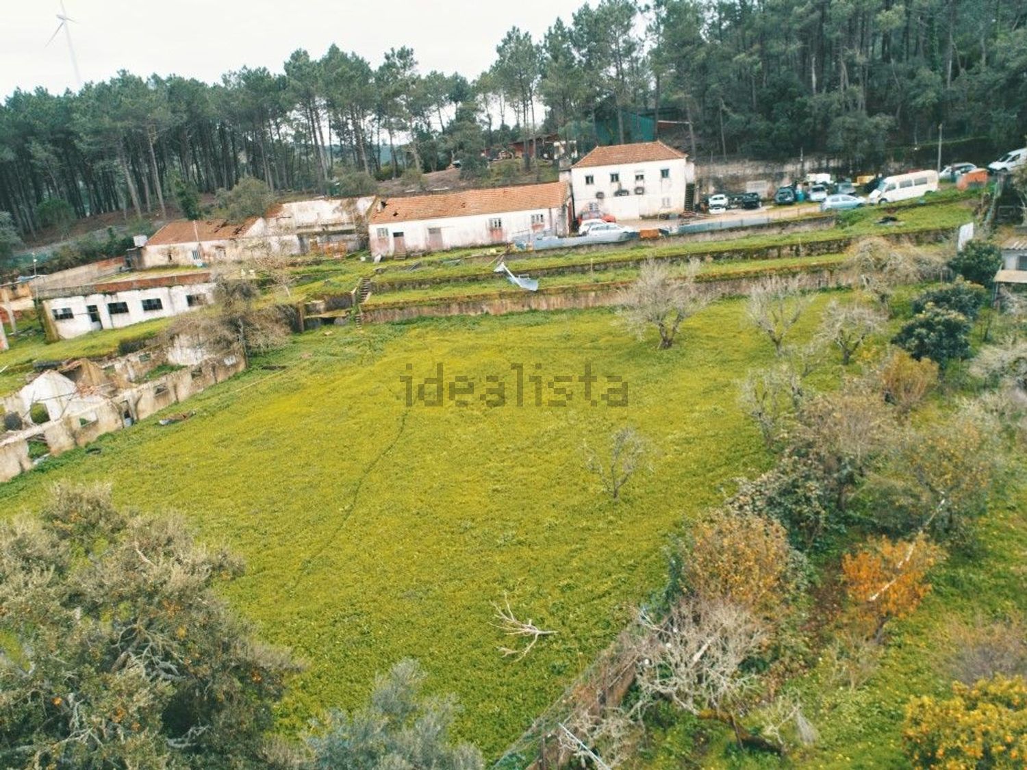 庄园出售在Lousa - 花园