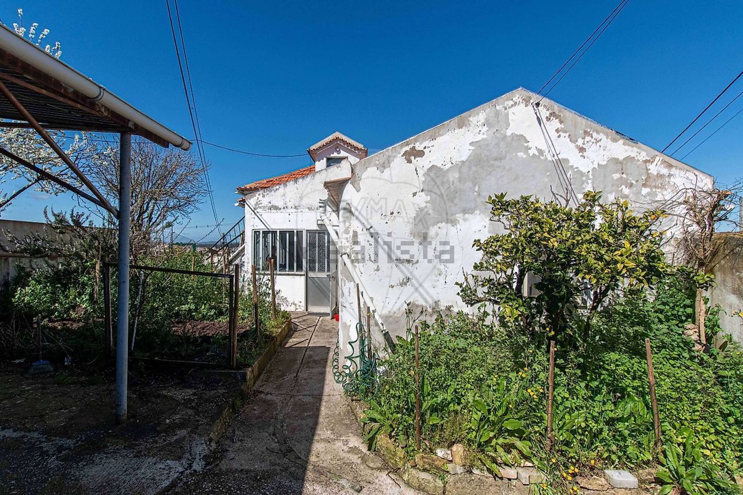 小楼房或独栋别墅出售N115-1 - 花园