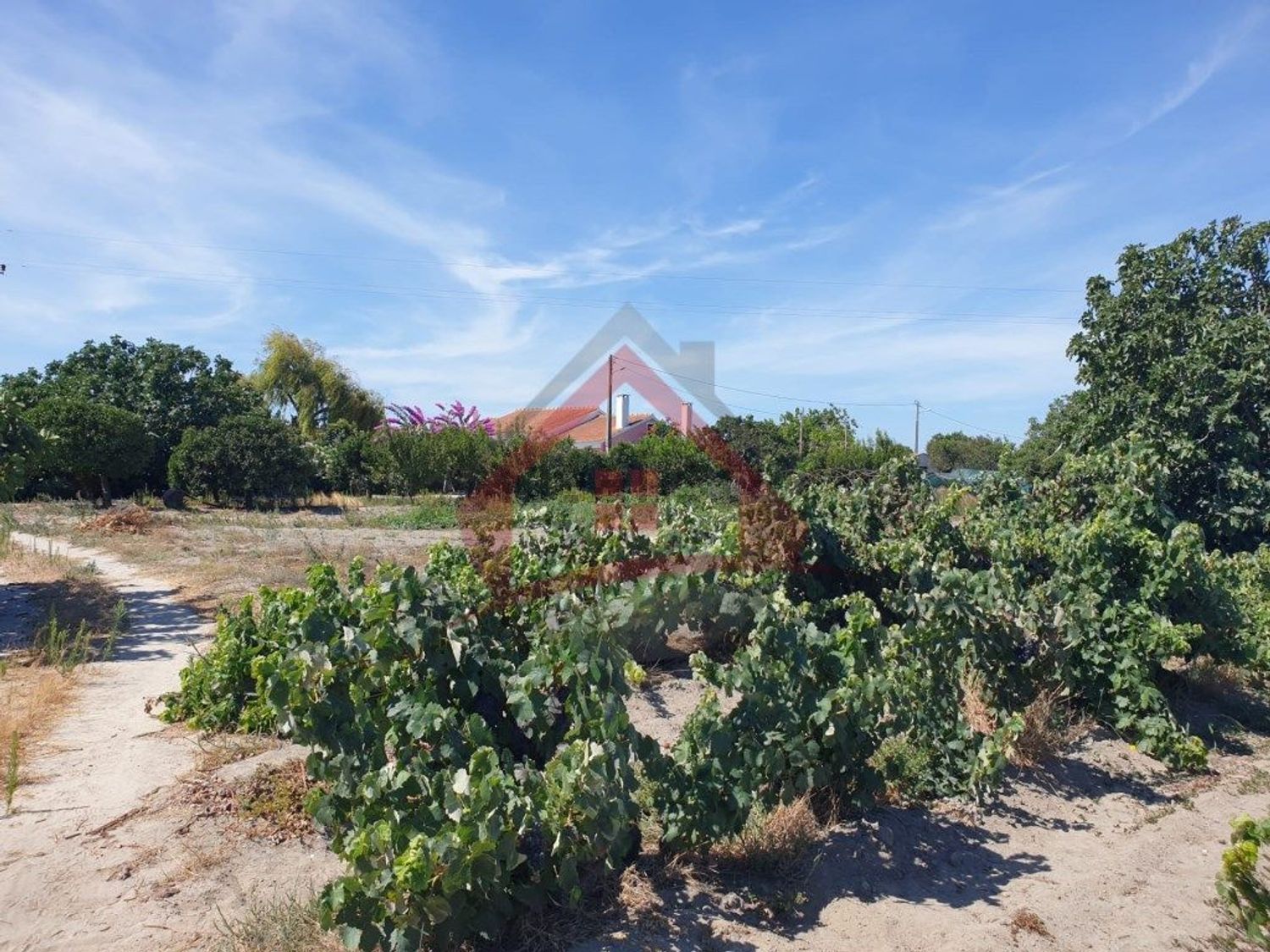 庄园出售在Largo da Fonte - 花园