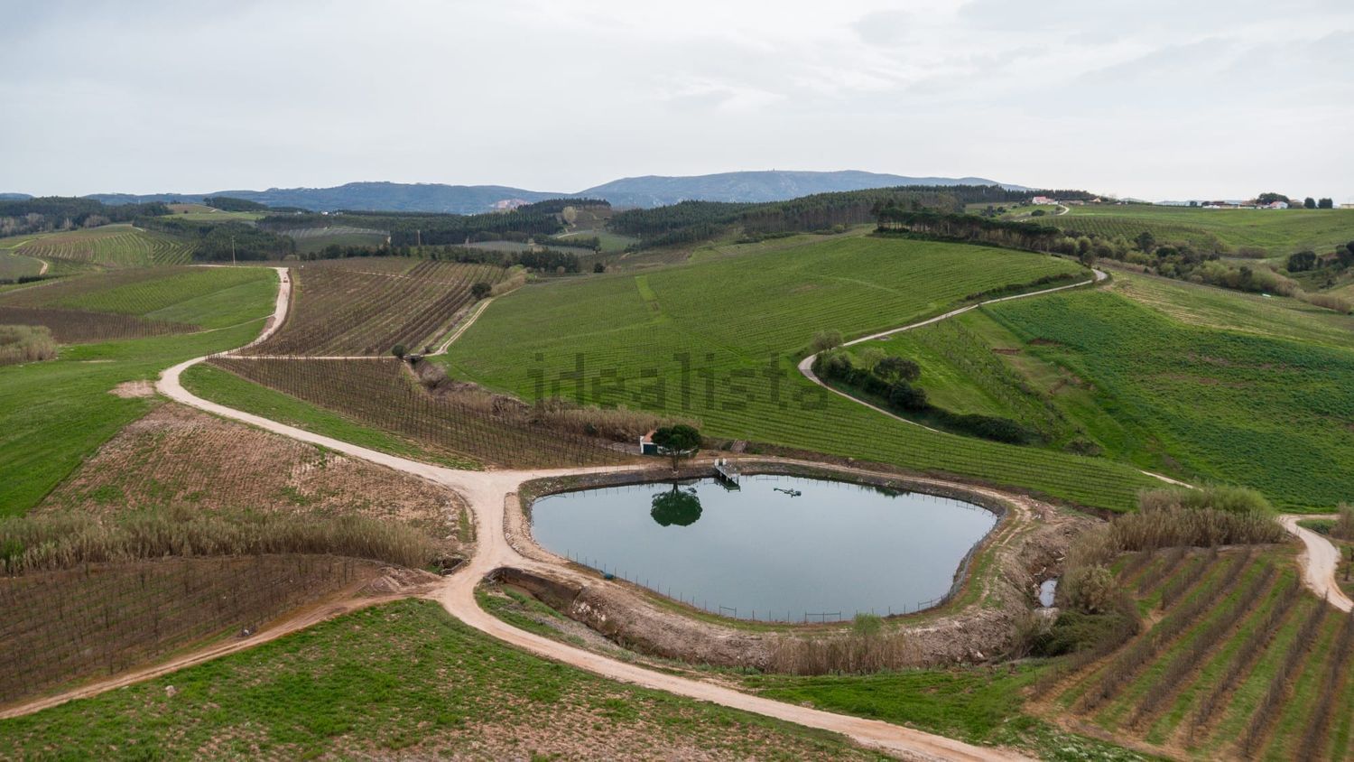 小楼房或独栋别墅出售在Peral - 视线