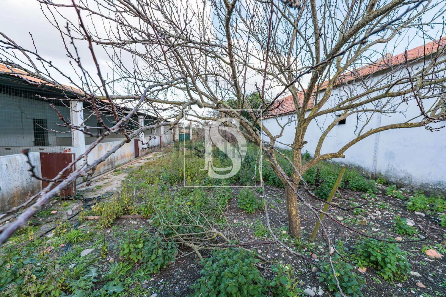 农庄出售在Poceirão e Marateca - 花园